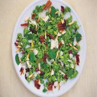 Broad Bean and Crispy Pancetta Salad with a Pea, Pecorino and Mint Dressing_image