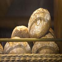 Rustic Spanish Bread (Pan Rustico)_image