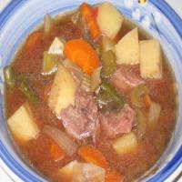 Baby's Vegetable and Beef Soup for the Crock Pot_image