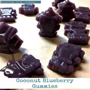 Coconut Blueberry Gummies Recipe - (4.7/5)_image