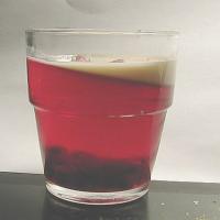 Cranberry and Pomegranate Jellies image