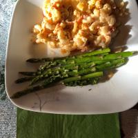 Macaroni with Four Cheeses_image