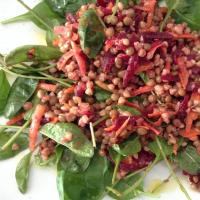 Lentils and Buckwheat Salad To Go (Gluten-Free) image