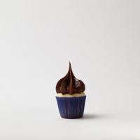 Mini Vanilla Bean Yellow Cupcakes with Creamy Chocolate Frosting_image