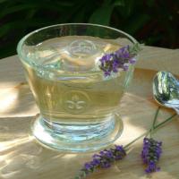 Provence Lavender Cocktail_image