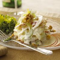 Goat Cheese Fennel Apple Salad_image
