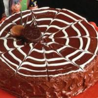 Chocolate Spider Web Cake_image