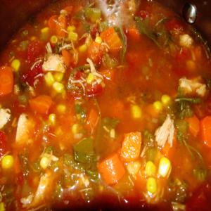 Mouthful of Spice Chicken Vegetable Soup_image