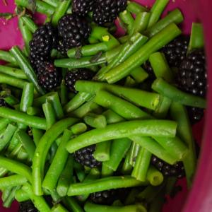 Fresh Oregano and Blackberry Green Beans image
