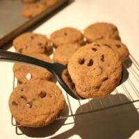 Malted Milk Cookies_image