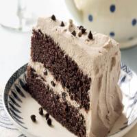 Chocolate Whipped Cream Cake_image