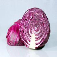 Red Cabbage Flemish style_image