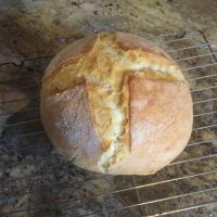 Crusty Dutch Oven Bread_image