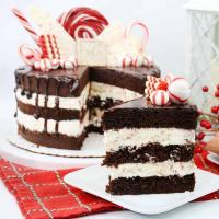 Chocolate Candy Cane Crunch Cake_image