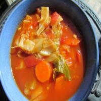 Vegetarian Sweet and Sour Cabbage Soup image