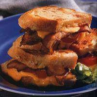 Grilled Cheddar, Tomato and Bacon Sandwiches image