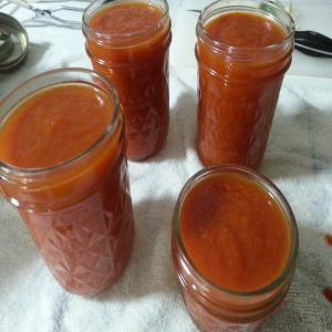 Ketchup - from Fresh Garden Tomatoes_image