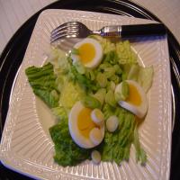 Leaf Lettuce Salad_image