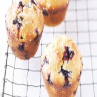 Blueberry-Cornmeal Muffins_image