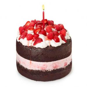 Berry Ice Cream Cake_image