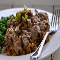 Wild Rice Ground Beef Casserole Recipe - (4.4/5)_image