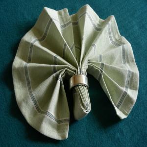 Serviette/Napkin Folding, Simple Fan Variation image