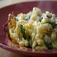 Light Macaroni and Cheese with Spinach_image