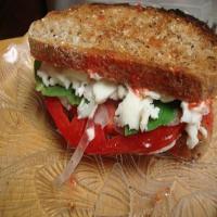 Tomato Basil Sandwich_image