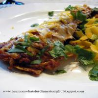 Beef Enchiladas with Easy Mole Sauce Recipe - (3.9/5) image