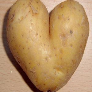 Goldilocks Potatoes image