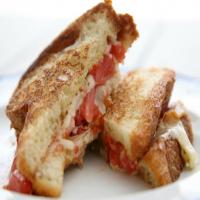Grown-Up Farmhouse Grilled Cheese_image
