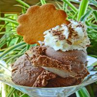 French Chocolate Ice Cream_image