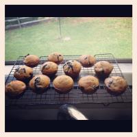 Blueberry Muffins (1 Ww Point Each) image