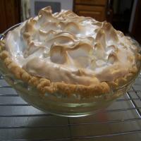 Old-Fashioned Sour Cream/Raisin Pie image