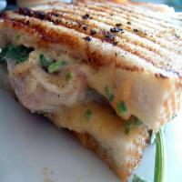 Grilled Chicken Sandwich with Apricot Sauce Recipe - (2.5/5) image
