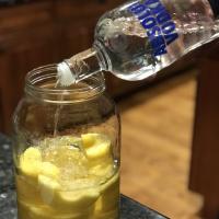 Pineapple-Infused Vodka image