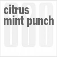 Citrus Mint Punch_image