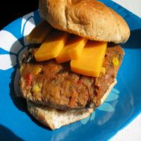 Spicy Mexican Bean Burger_image