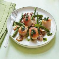 Seared Scallops with Parsley and Scallion Pesto image