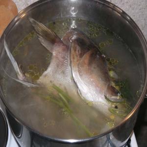 Croatian Boiled Fish (And Soup) image