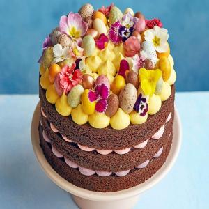 Chocolate & vanilla celebration cake_image