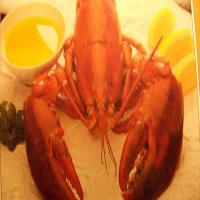 Boiled Maine Lobster image
