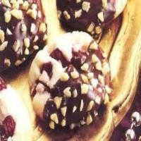 Chocolate Dipped Cranberry Cookies_image