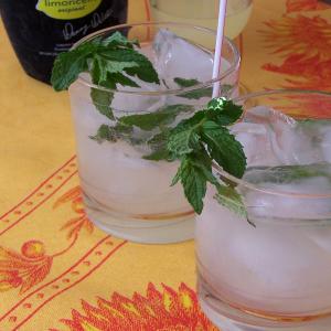 Lime-Oncello Spritzers With Mint image