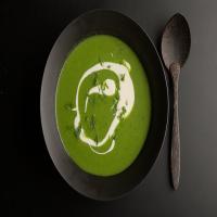 Bright Green Leek Soup image