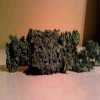 Quick Microwave Kale Chips_image