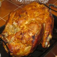 Central American Roasted Chicken image