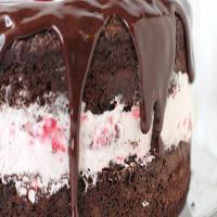 Chocolate-Raspberry Cream Cake_image