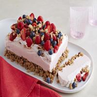 Frozen Yogurt-Berry Dessert_image