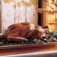Herb-Roasted Turkey with Chestnut-and-Sausage Stuffing_image